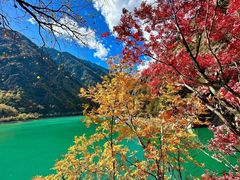 -叠溪松坪沟景区