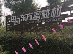 -田园东方蜜桃村的田野营地