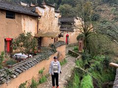 -杨家堂村