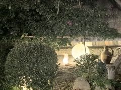 -老房子金沙元年川菜食府·花园餐厅(金沙店)