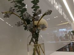 -Seesaw Coffee(上海国金中心店)