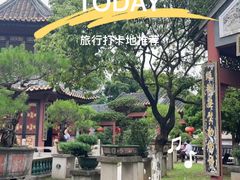 -碧江金楼