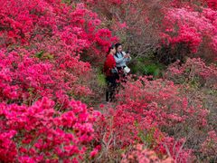 -木兰云雾山