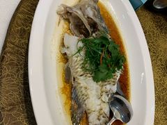 -欢乐海岸美食联盟
