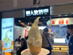 -野人牧坊Gelato(天津南开大悦城店)