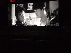 -枫花园汽车电影院(朝阳公园店)
