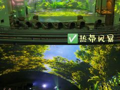 -海南槟榔谷黎苗文化旅游区