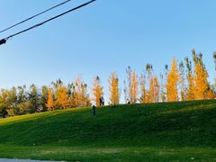 -瀛海足球主题公园