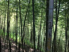 -藏龙百瀑风景区