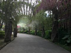 -田野绿世界