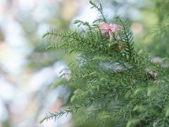 -白塘生态植物园