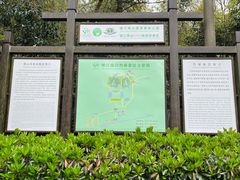 -镇江市南山风景名胜区竹林景区