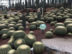 -南通洲际绿博园