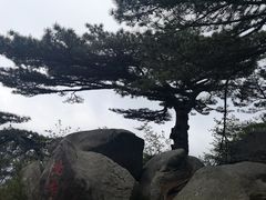 -罗田薄刀峰风景区