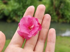 -厦门园林博览苑