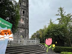 -上海佘山国家森林公园天马山园