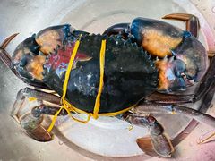 -七欣天香辣蟹火锅(苏州相城VIP总店)