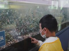 -上海昆虫博物馆