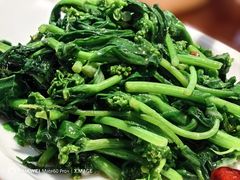 炝炒白油菜-永乐饭店