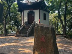 -上海佘山国家森林公园天马山园