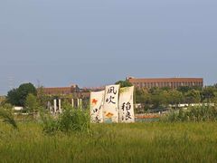 -杭州湾海上花田景区