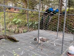 -福建鲤鱼洲酒店