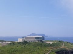 -涉地可支