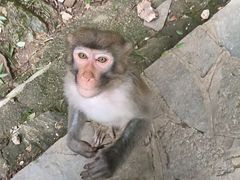 -黔灵山公园