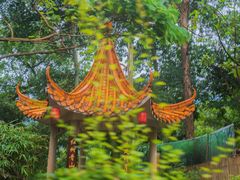 -东莞观音山旅游风景区