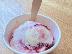 -Patagonia Chocolates(皇后镇店)