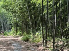 -石燕湖生态旅游景区