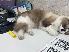 -良伴无忧宠物医院(泰欣嘉园店)