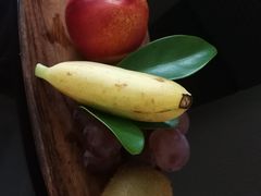 -重庆长寿碧桂园凤悦凤凰酒店