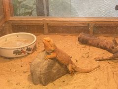 -上海大自然野生昆虫馆