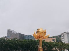 -金莲花广场