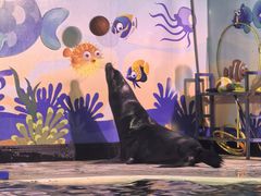 -太平洋海底世界