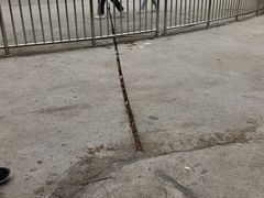 -美心红酒小镇游乐园