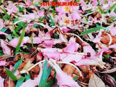 -深圳博物馆(古代艺术馆)