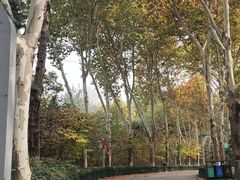 -西安市长乐公园