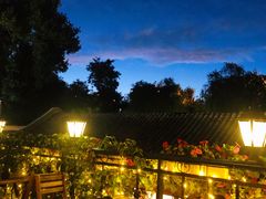 -Sirena海妖日咖夜酒