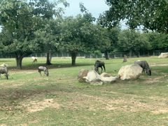 -西安秦岭野生动物园