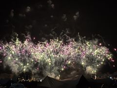 -南宁花花大世界景区