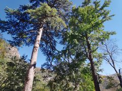 -北京上方山国家森林公园