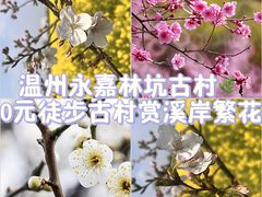 -林坑古村落