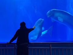 -多彩贵州城极地海洋世界