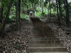 -滴水岩森林公园