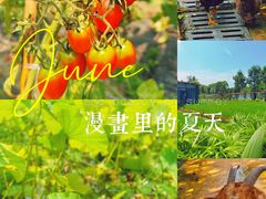 -洪湖家庭农场·团建·露营·会议