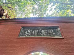 -洛阳白马寺