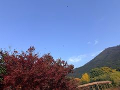 -无锡动物园·太湖欢乐园