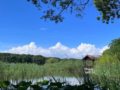 -同里国家湿地公园